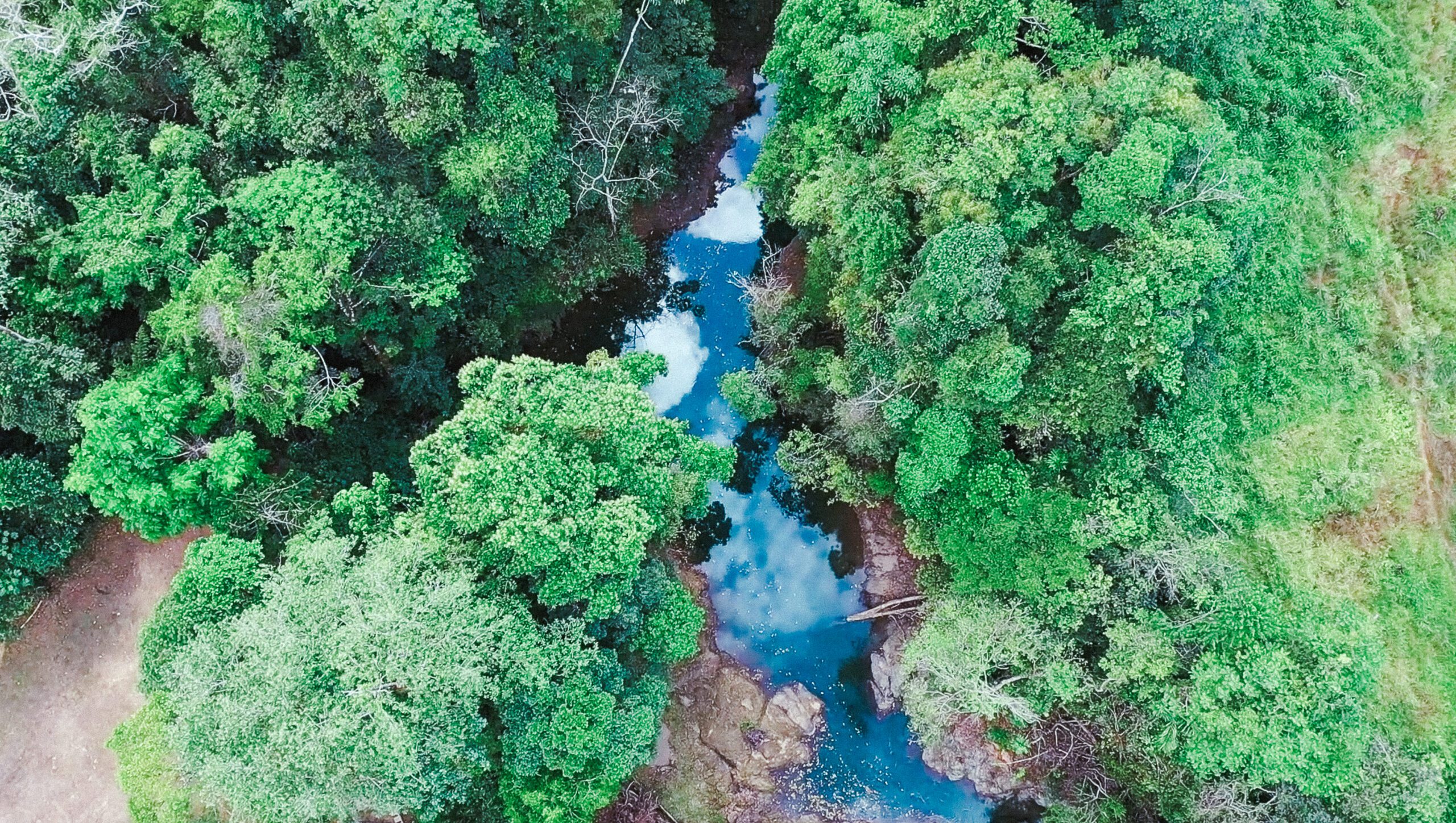 Drake Bay - Agujas River: 5 fotos - Puntarenas, Costa Rica