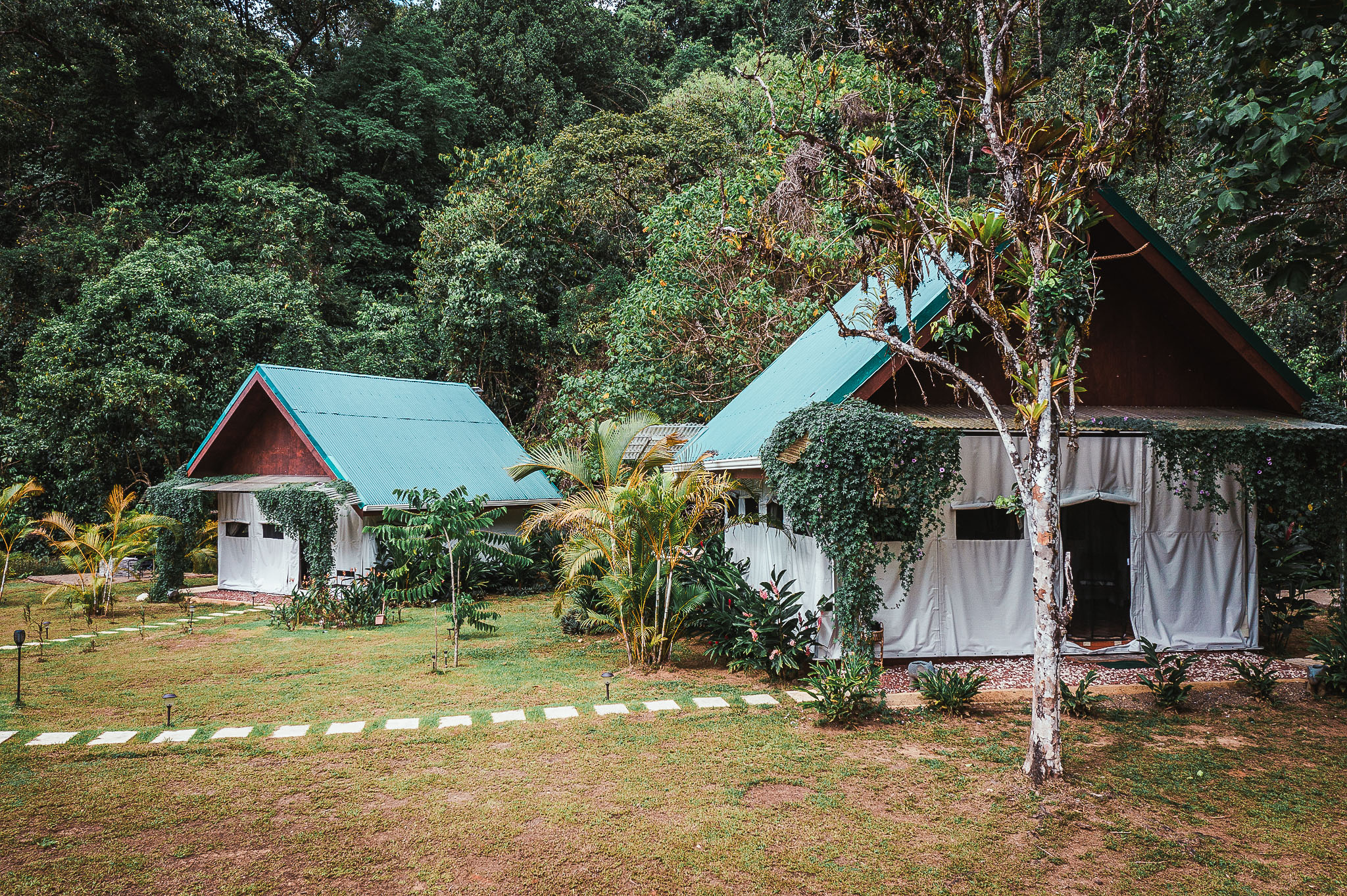 VISTA DRAKE LODGE, COSTA RICA/OSA PENINSULA: 228 fotos, comparação