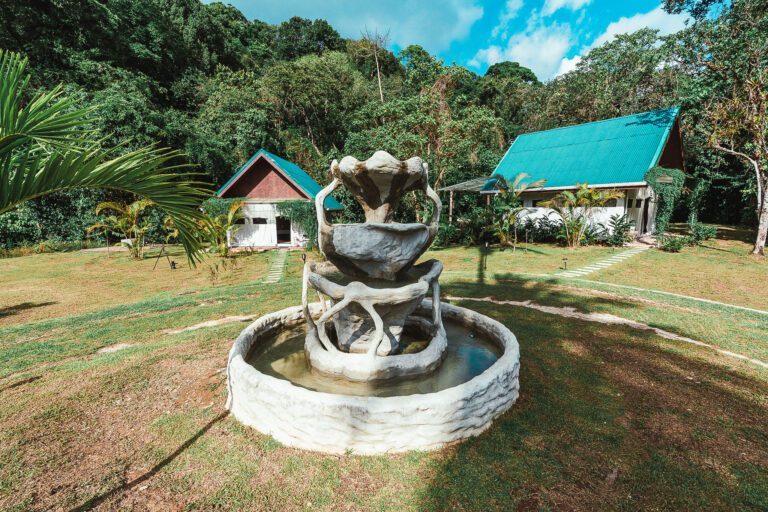 luxury camping corcovado national park