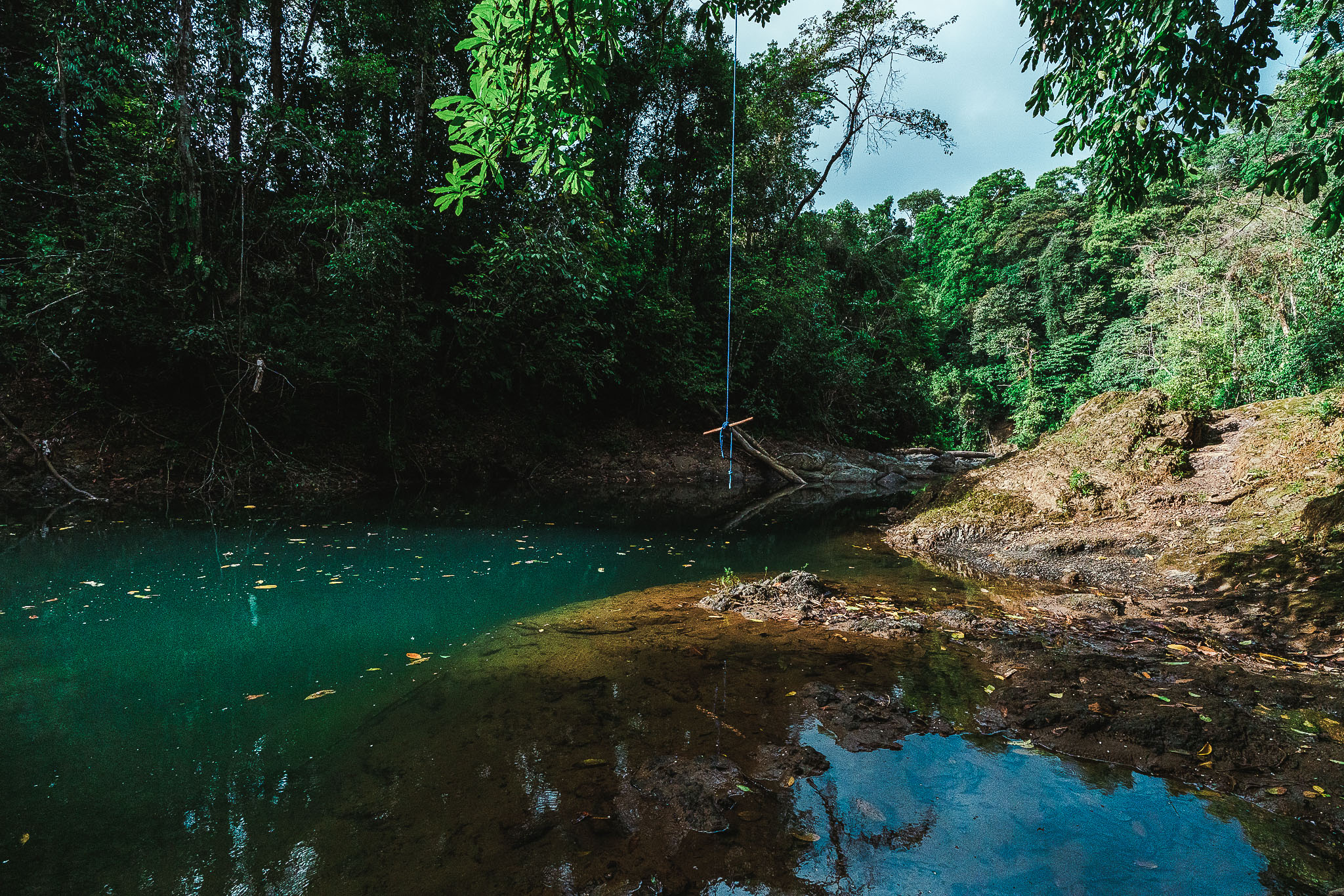 VISTA DRAKE LODGE, COSTA RICA/OSA PENINSULA: 228 fotos, comparação