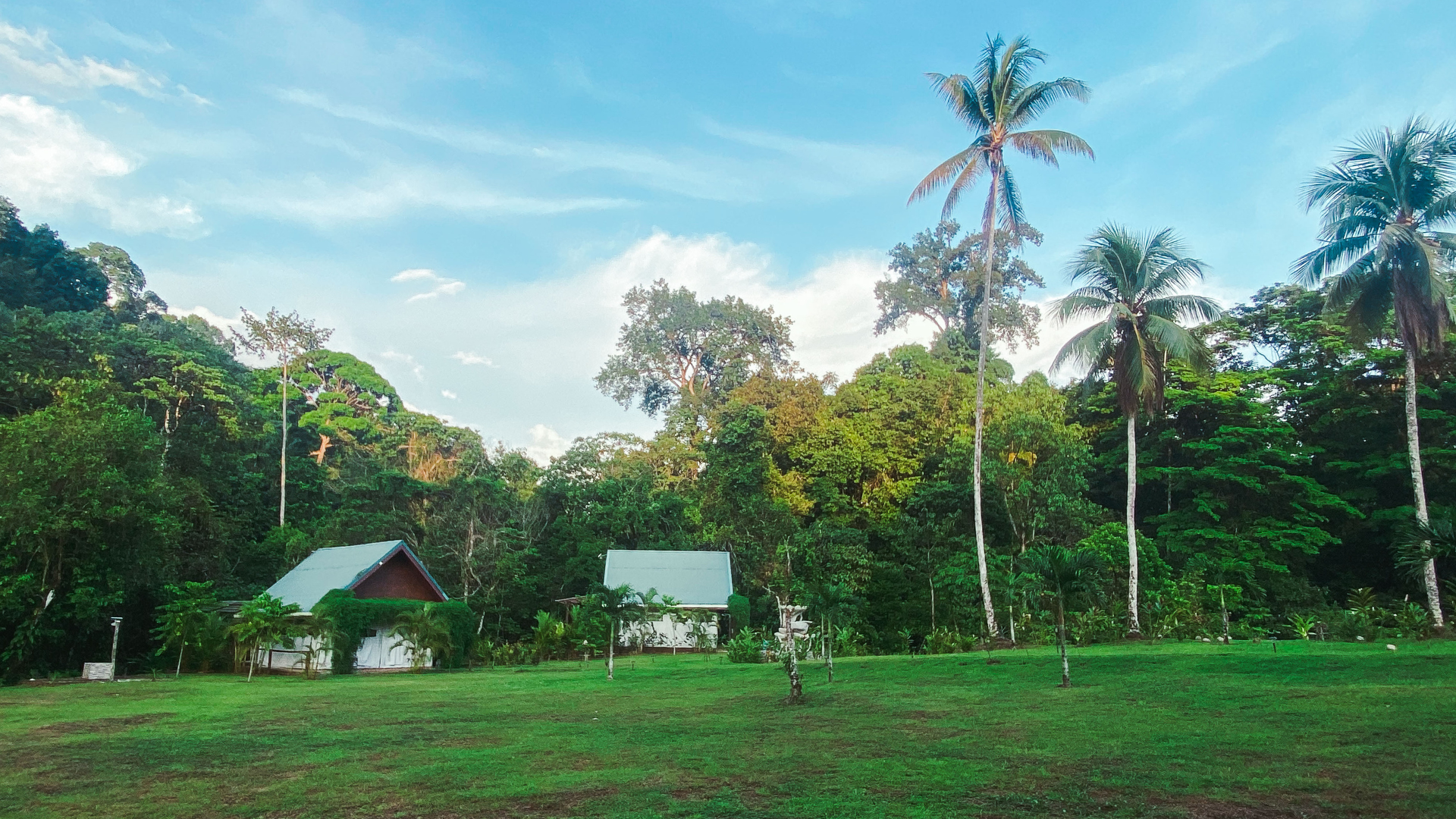 VISTA DRAKE LODGE, COSTA RICA/OSA PENINSULA: 228 fotos, comparação